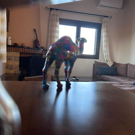 Artemis Penthouse 10 Minute From National Airportヴィラ エクステリア 写真