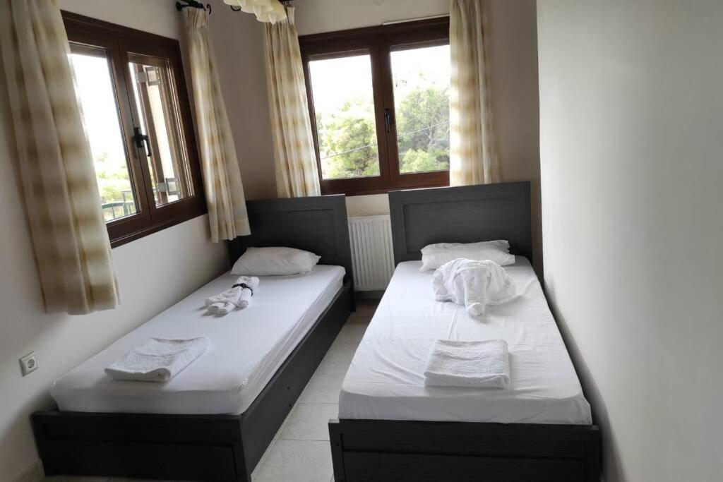 Artemis Penthouse 10 Minute From National Airportヴィラ エクステリア 写真
