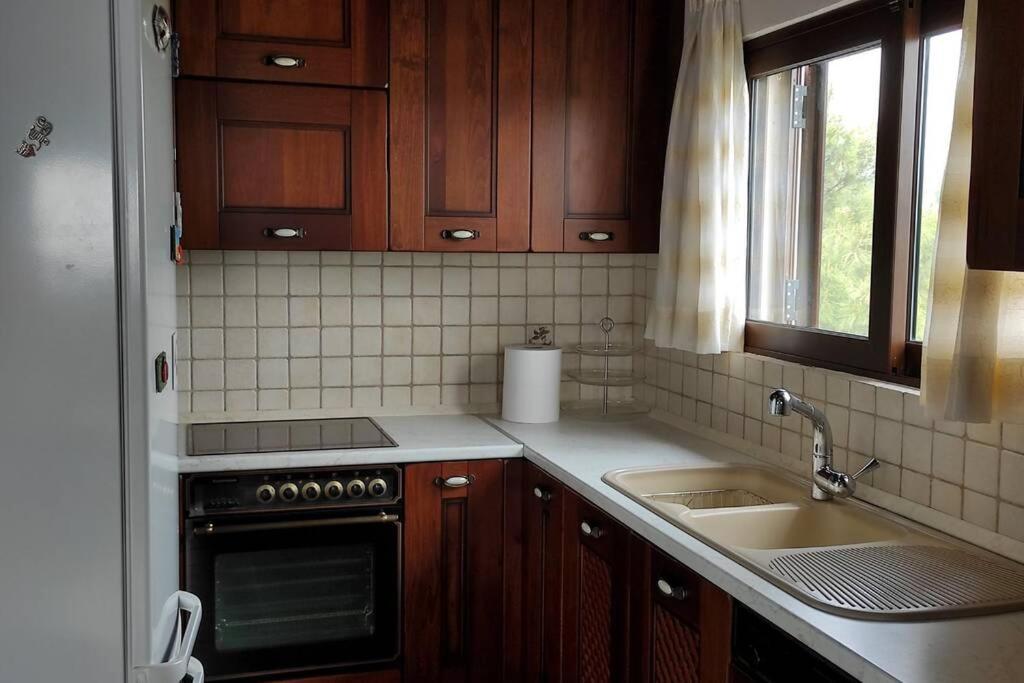 Artemis Penthouse 10 Minute From National Airportヴィラ エクステリア 写真