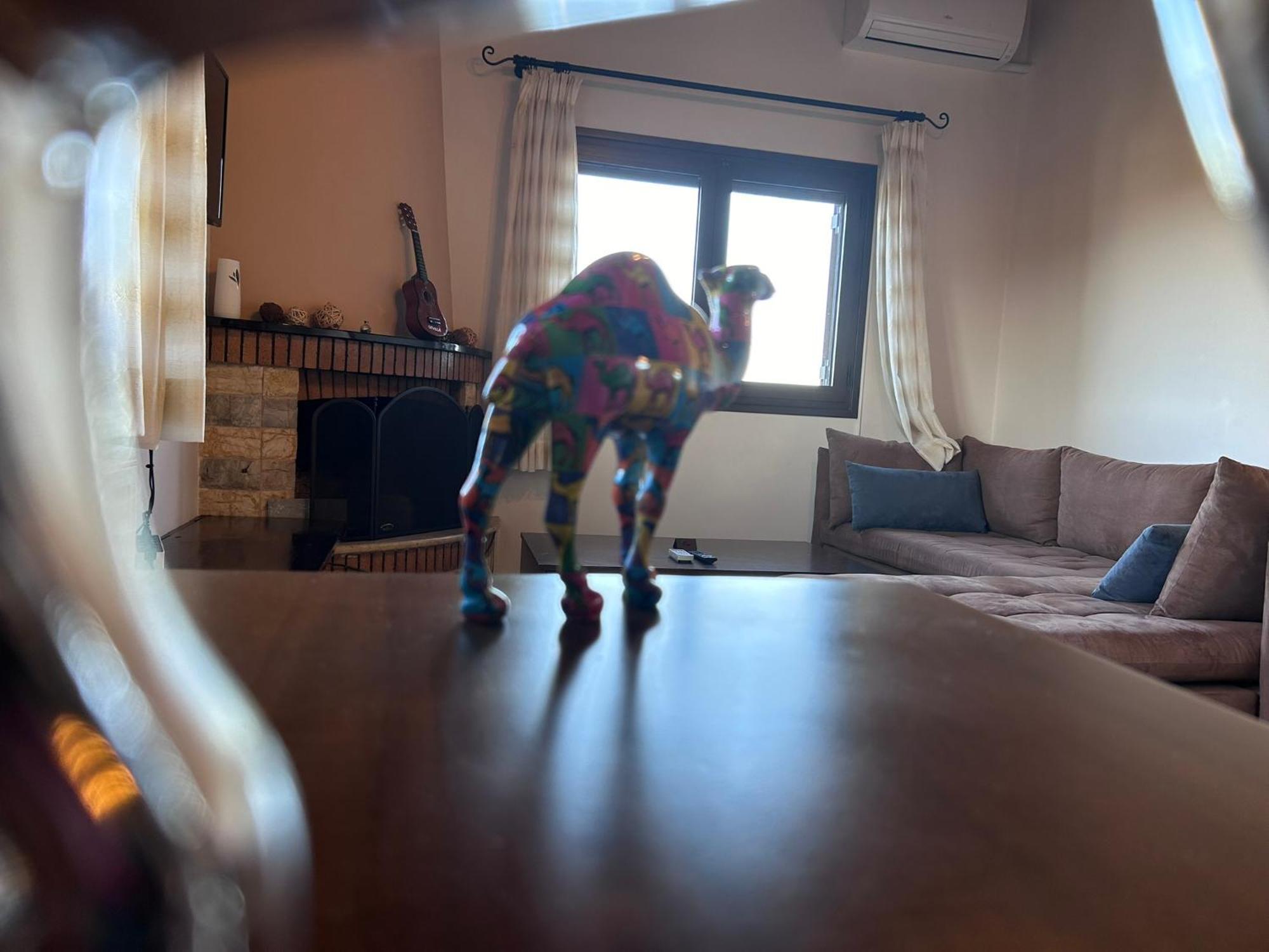 Artemis Penthouse 10 Minute From National Airportヴィラ エクステリア 写真